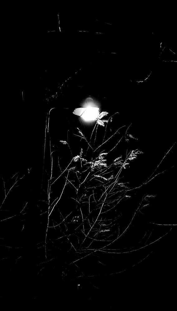 Photograph by DIMITRIOS GOUGOULIS