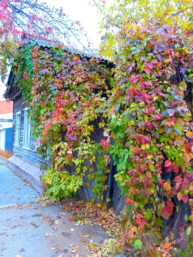 Photograph by Марина Ткаченко