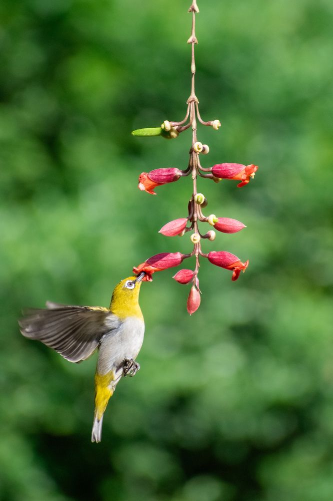 Photograph by sagnik BERA