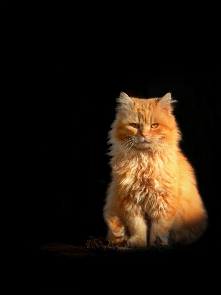 Photograph by Наталья Лищинская