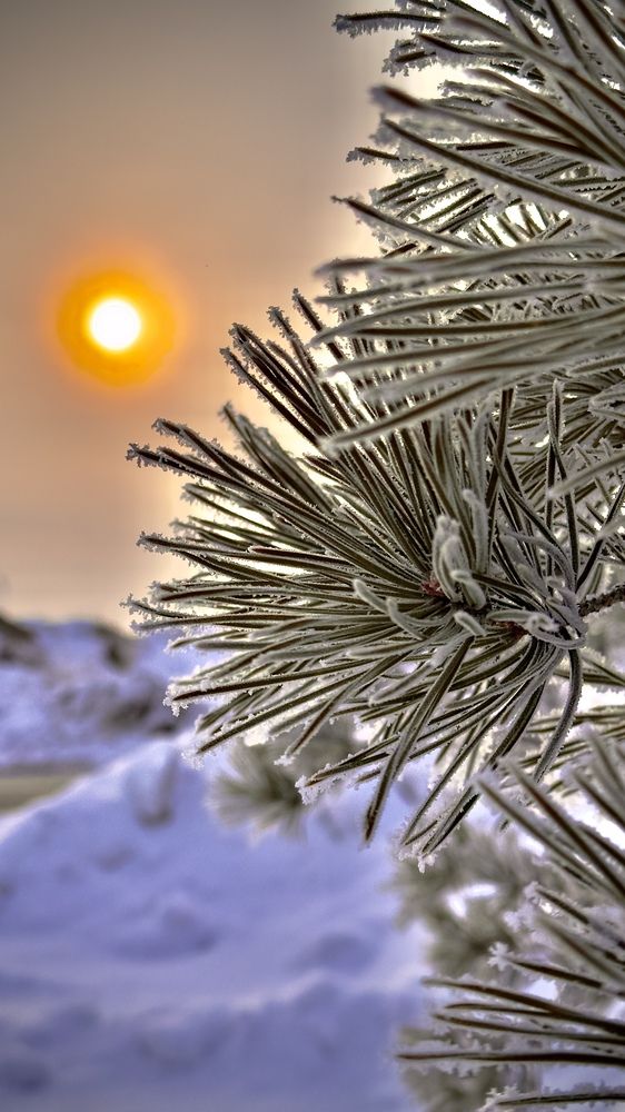 Фотография автора Алексей Новиков