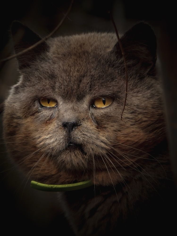 Photograph by Наталья Лищинская