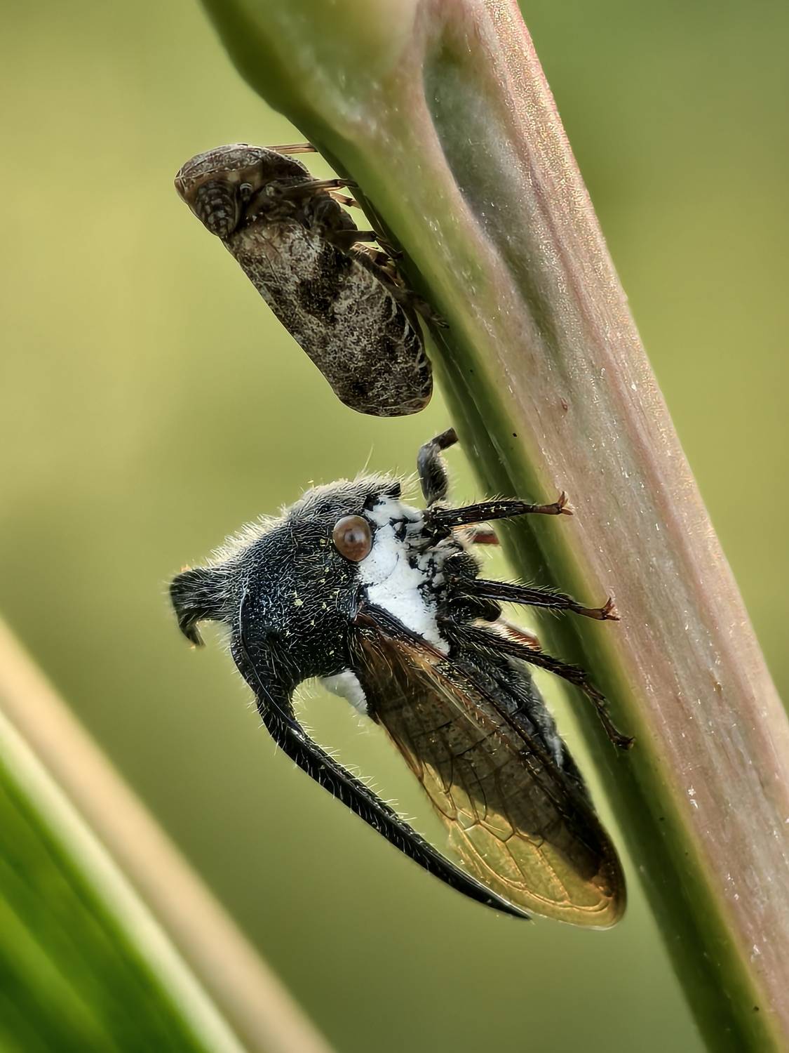 Фотография #12240904