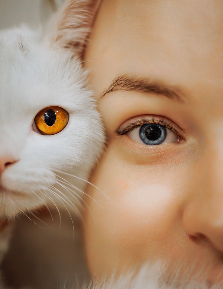 Фотография автора Руслан Минченко