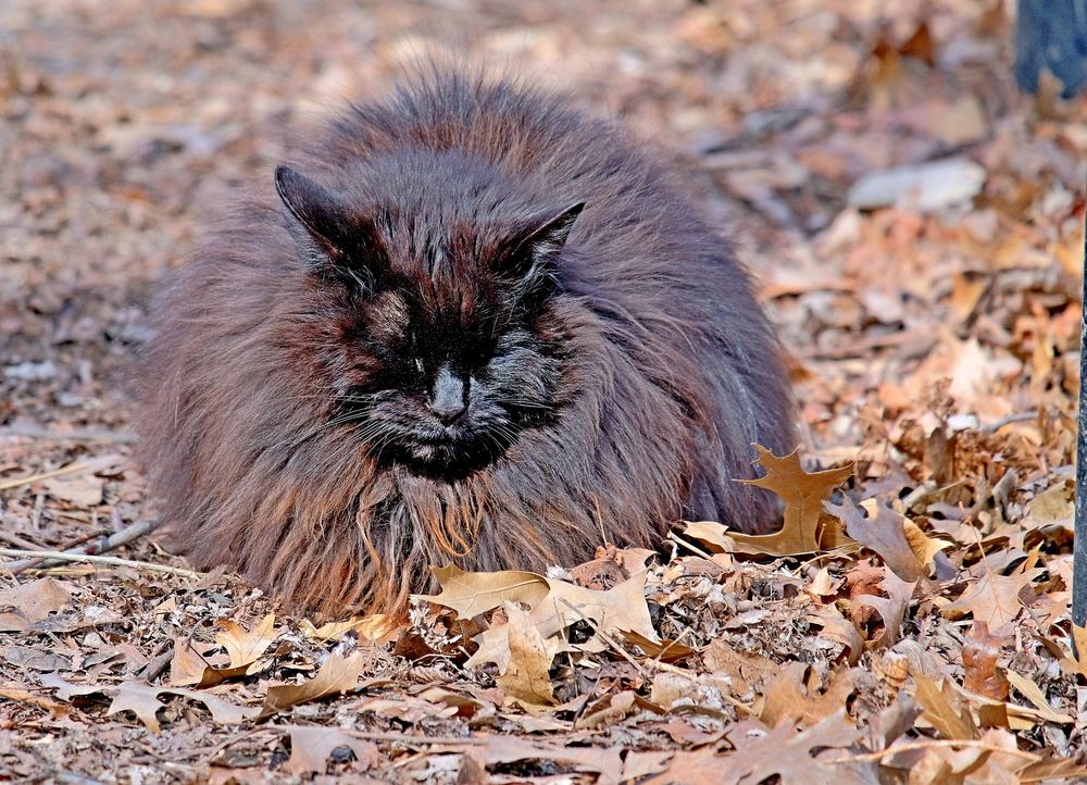 Photograph by Norayr Khazhakyan