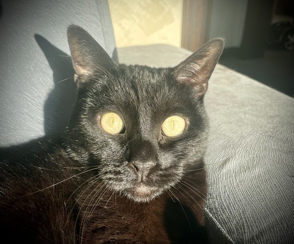 Photograph by Кравченко Юлия