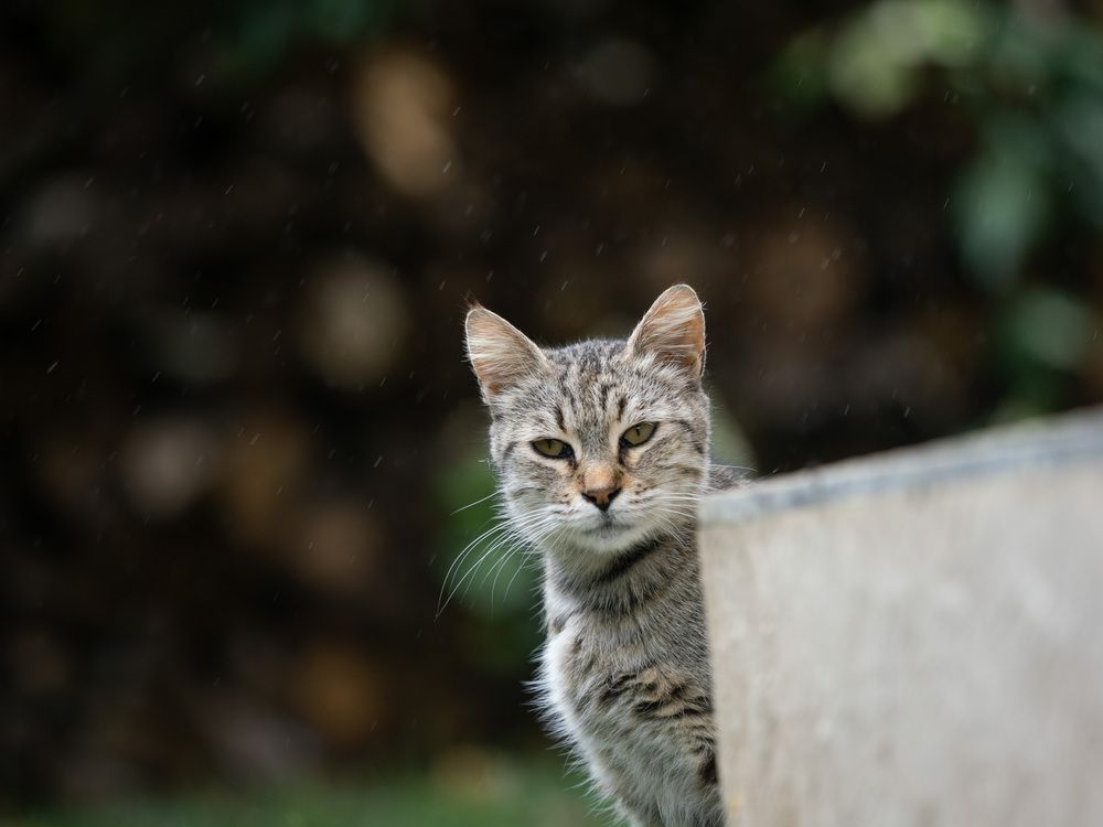 Photograph by Mustafa Sahin