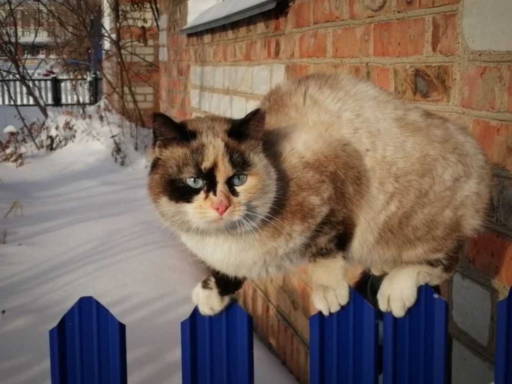 Photograph by Елена Чернякова