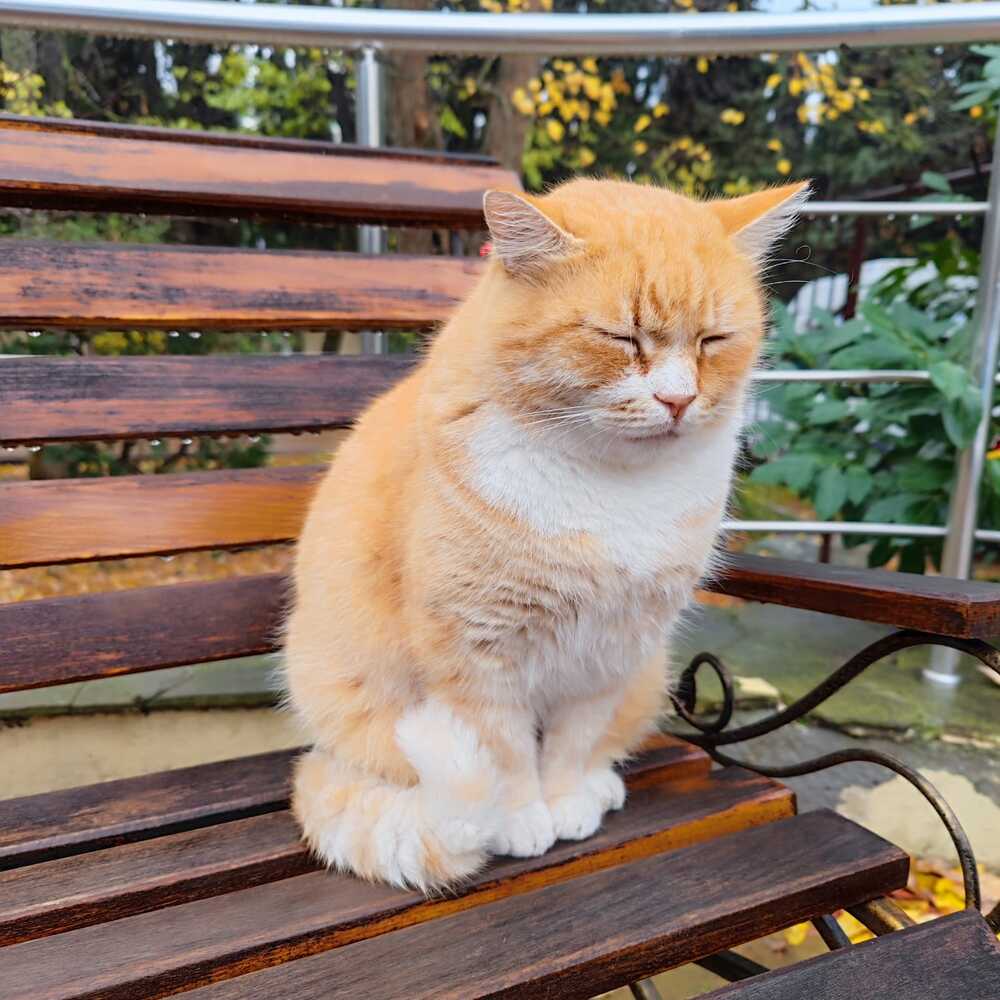 Photograph by Елена Аникеева