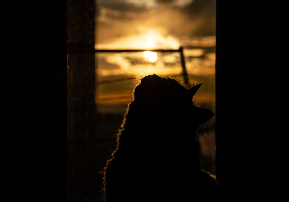 Photograph by Александр Цыдыпов