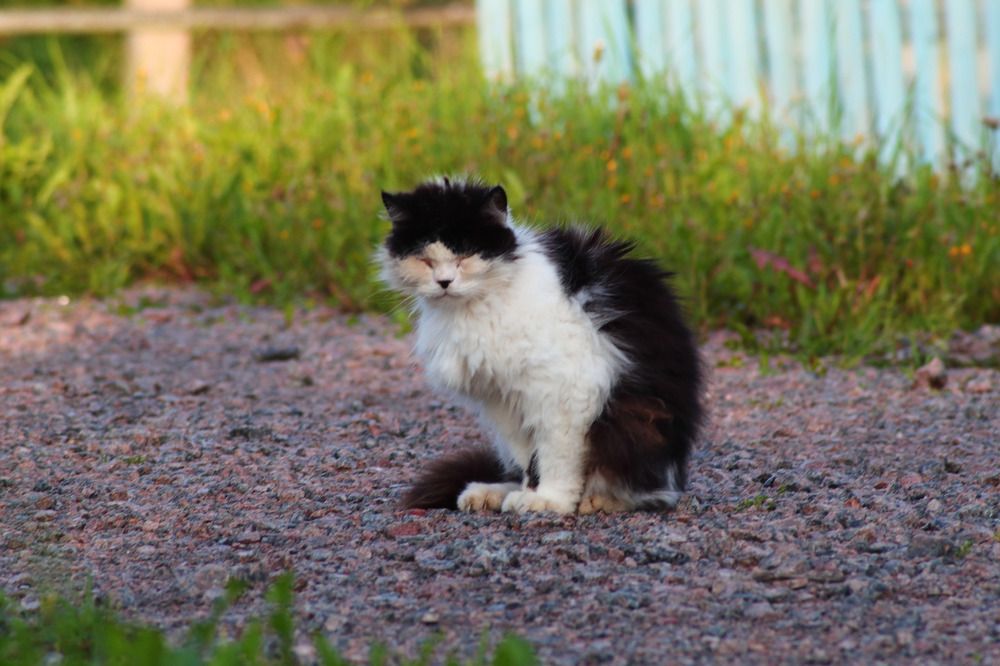 Photograph by Елена Наленч