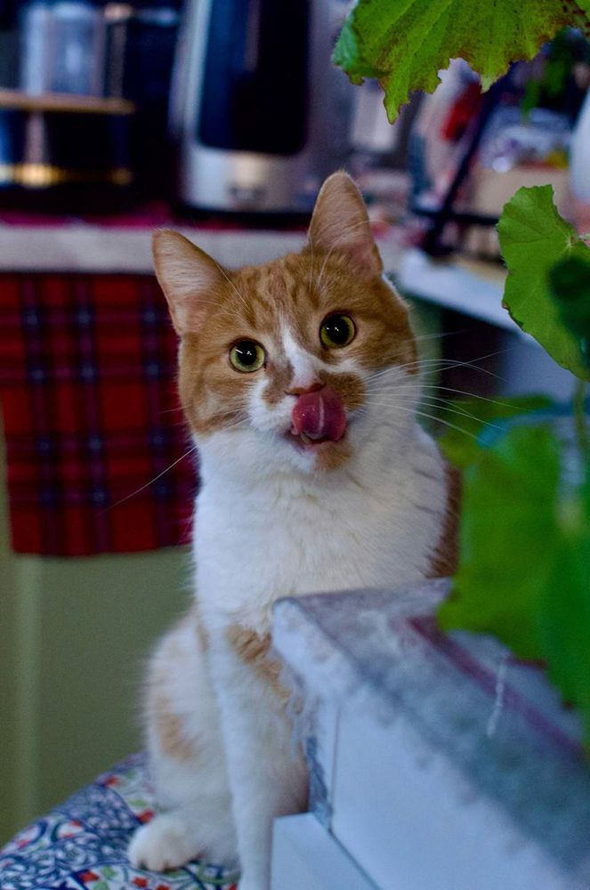 Photograph by Александра Шилина