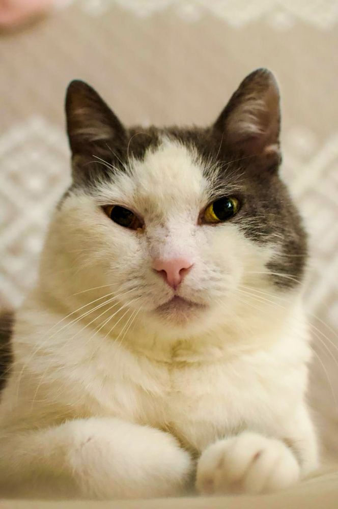 Photograph by Александра Шилина