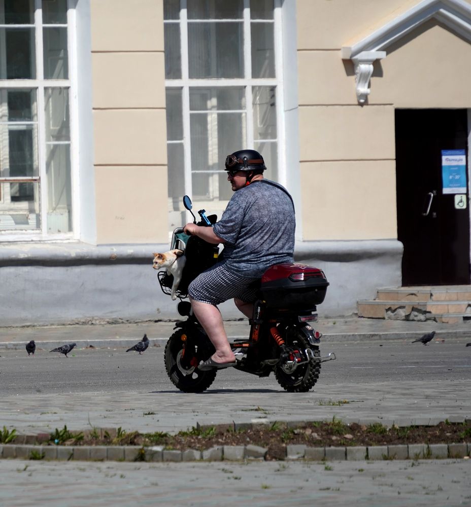 Photograph by Светлана Хохлова