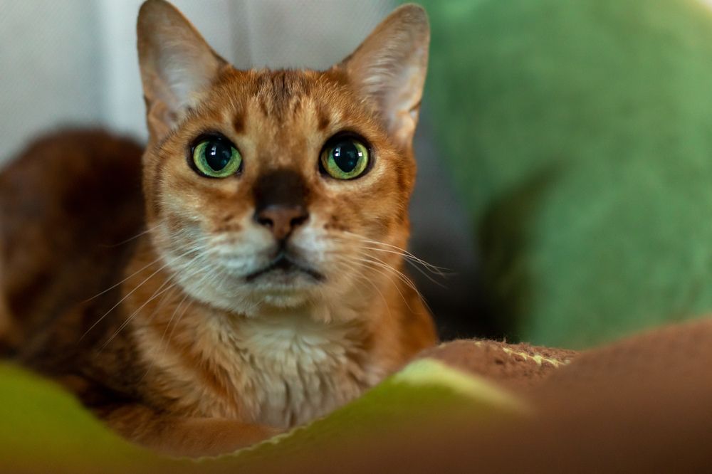 Photograph by Татьяна Гороховская