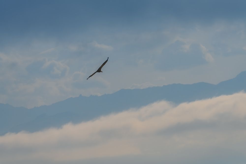 Photograph by Лазарев Сергей