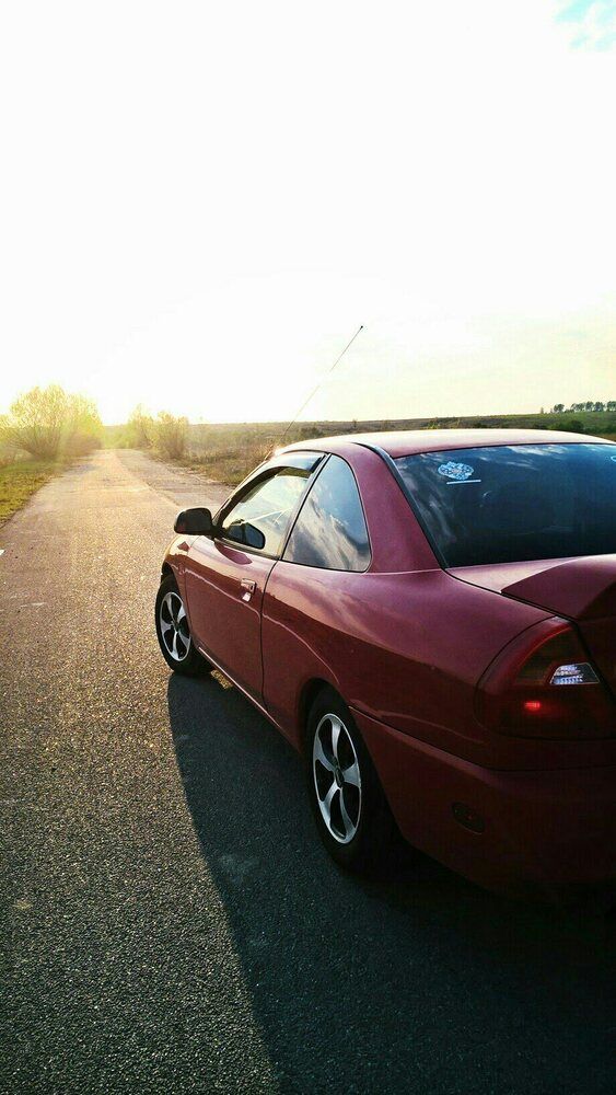 Фотография автора Дарья Петровская