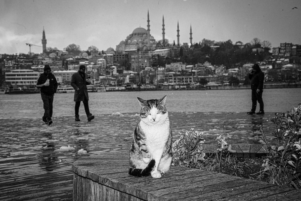 Photograph by bekir istemi