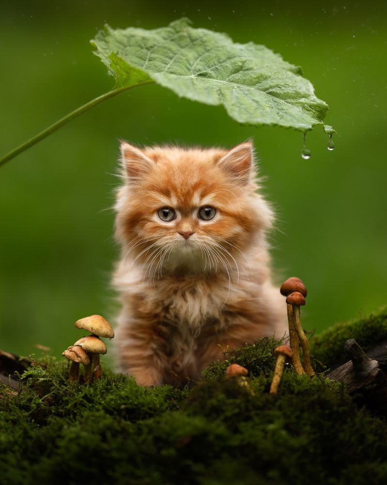 Photograph by Jacqueline Ruediger