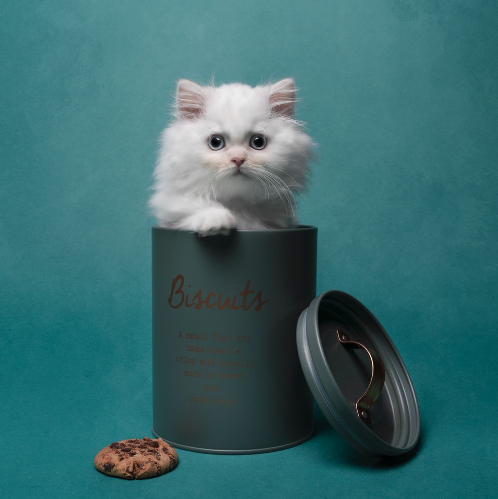 Photograph by Jacqueline Ruediger