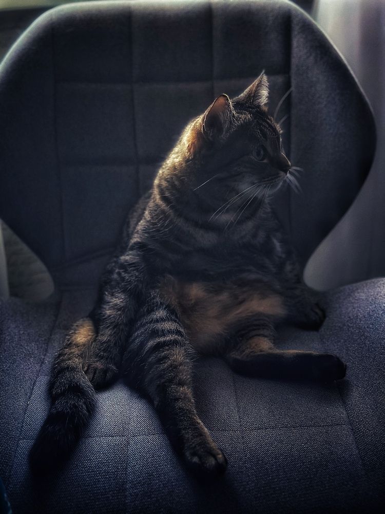 Photograph by Ольга Позняк