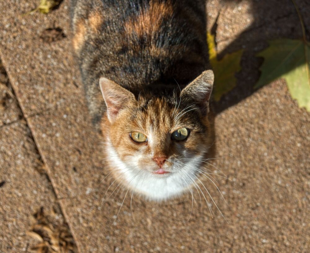 Photograph by Geo Lib