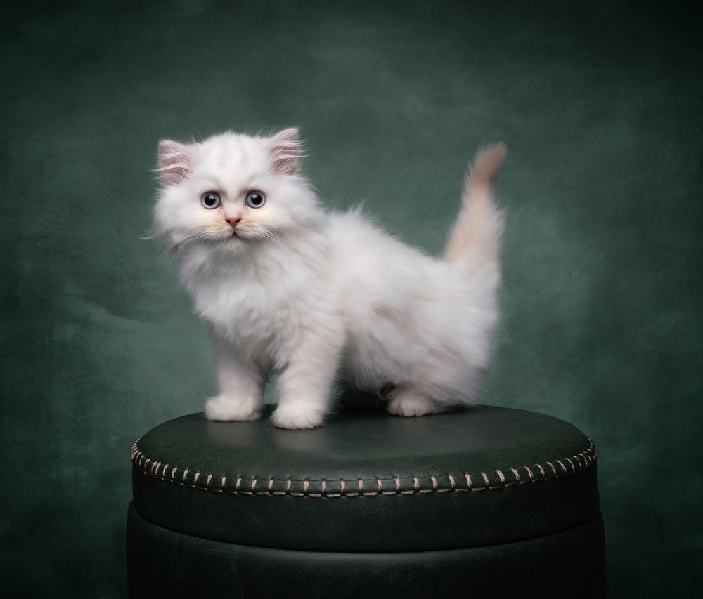 Photograph by Jacqueline Ruediger