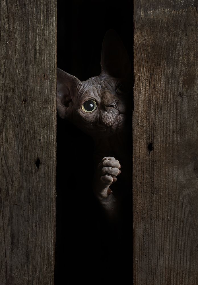 Photograph by Alexander Sviridov