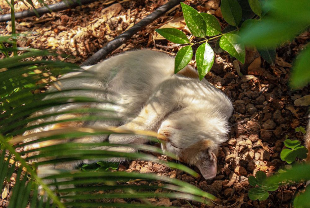 Photograph by olga stekhnovskaya
