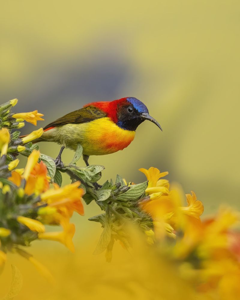 Photograph by Shraman Banerjee
