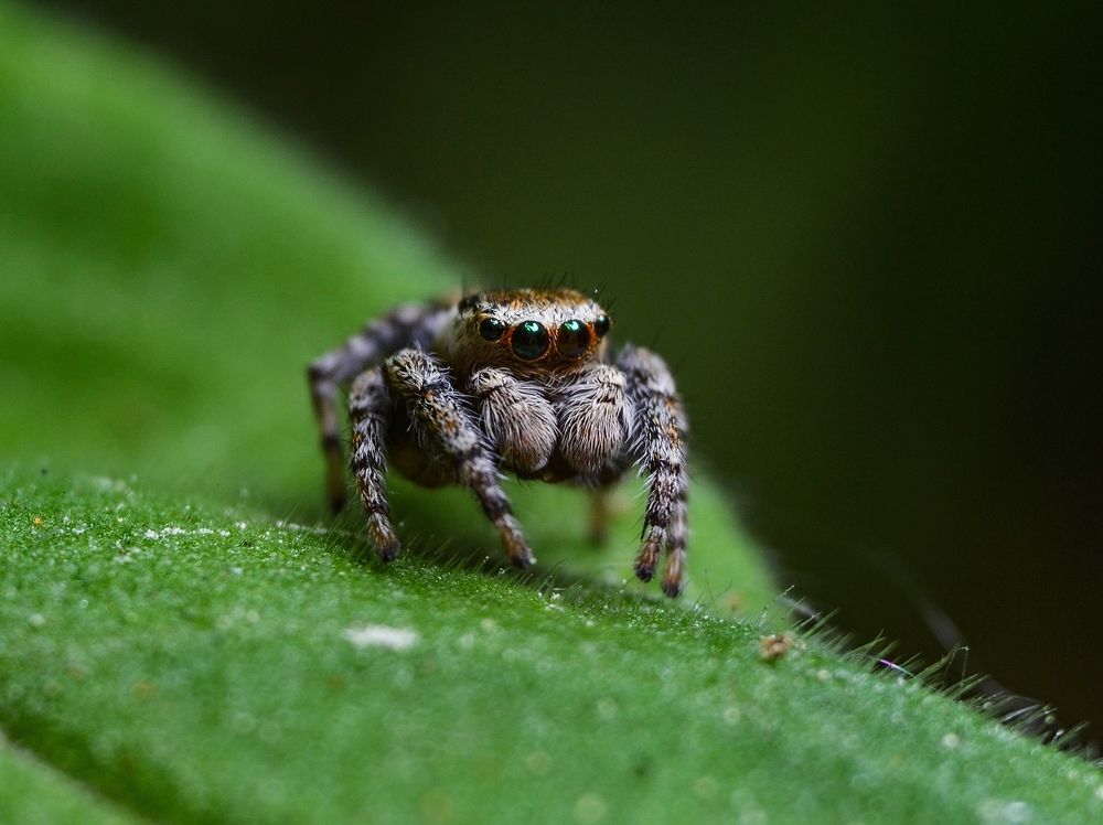 Photograph by Kirill Frolov