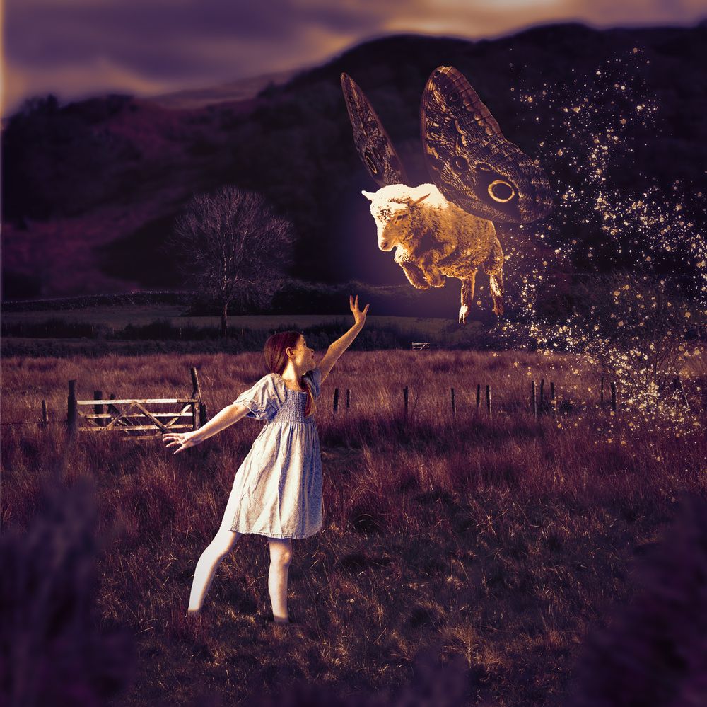 Counting sheep