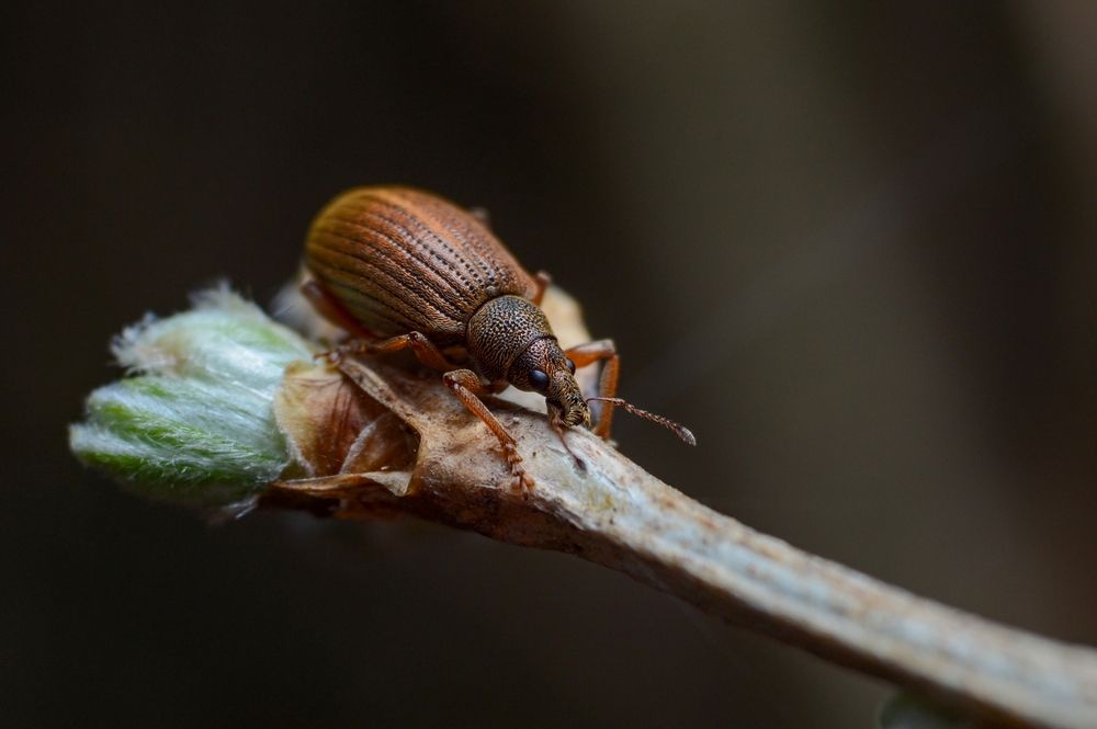 Photograph by Kirill Frolov