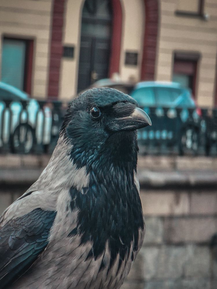 Photograph by Evgeniy Shabanov