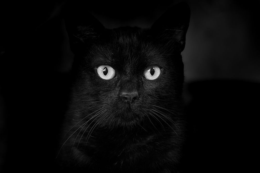 Photograph by Feyza Umaysiz