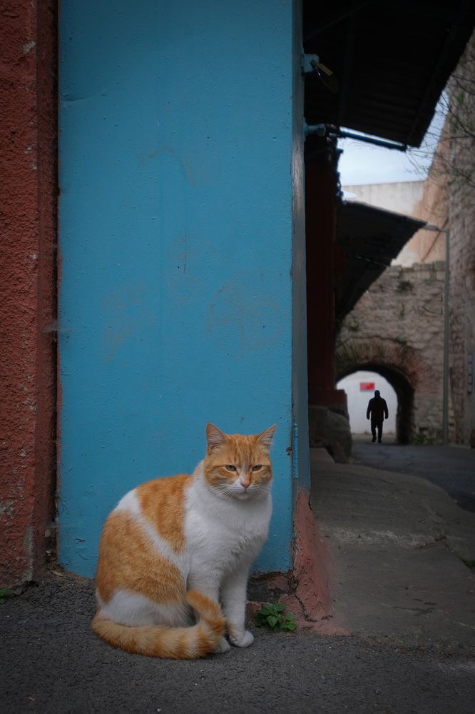 Photograph by Feyza Umaysiz