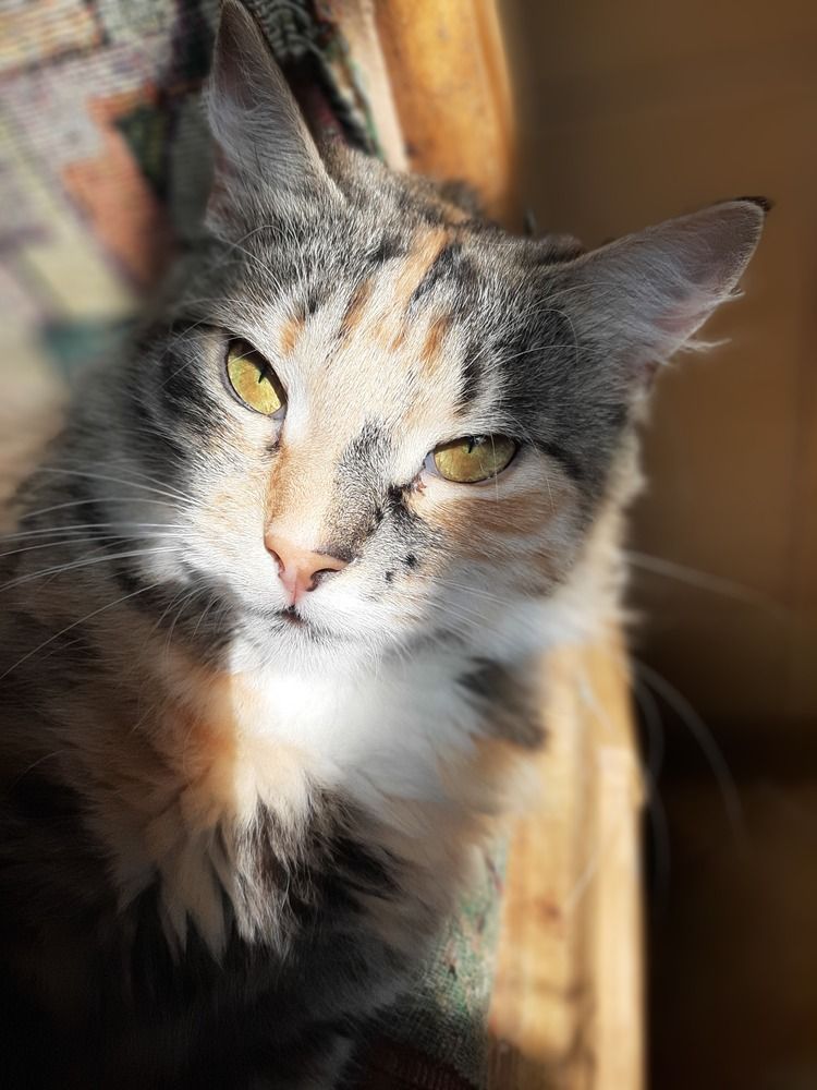 Photograph by Елизавета Иванова