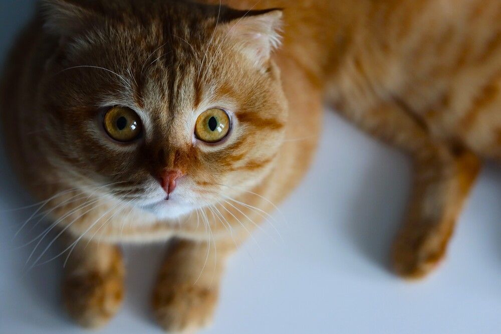 Photograph by Наталья Исаева