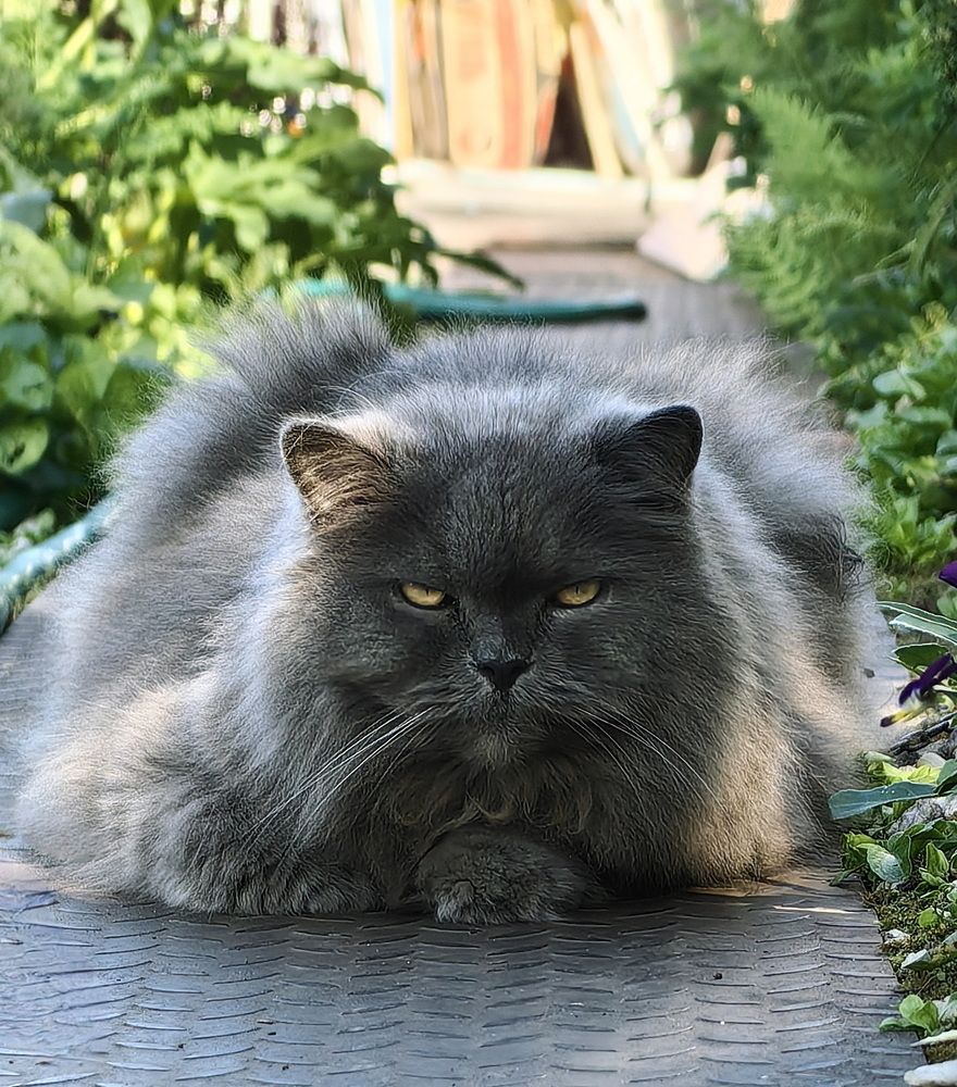 Photograph by Кристина Феминова