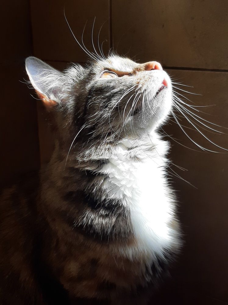 Photograph by Елизавета Иванова