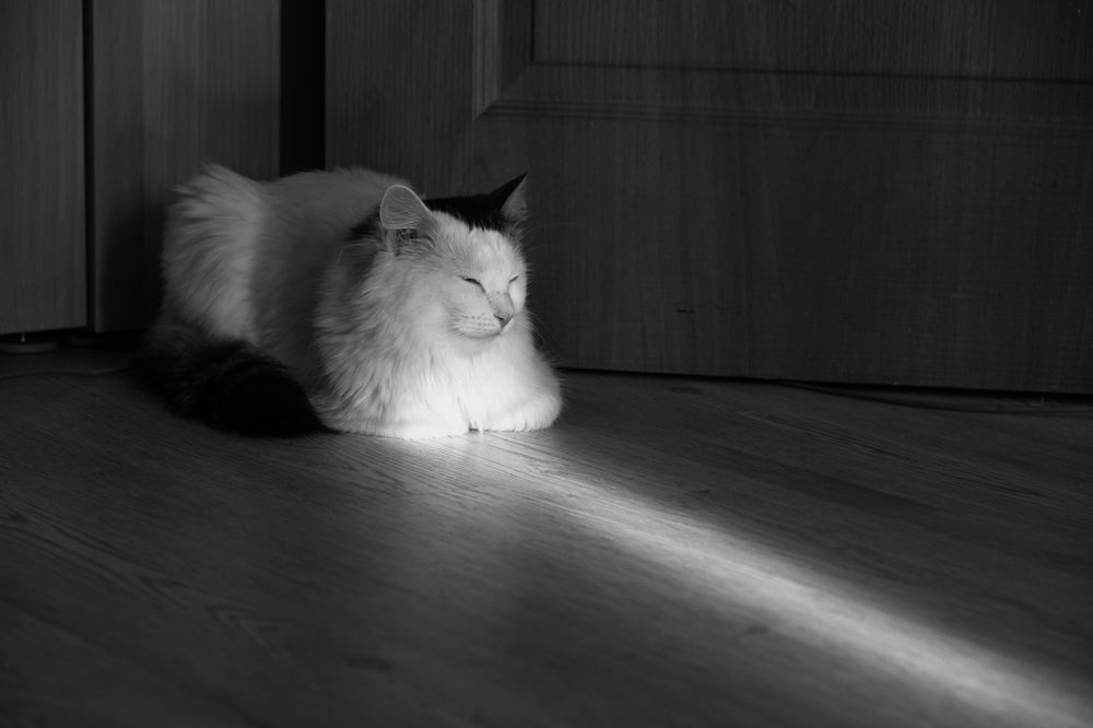 Photograph by Александр Парамонов