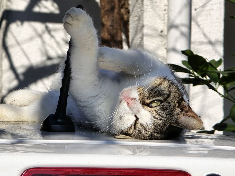 Photograph by Anna Zelinskaya