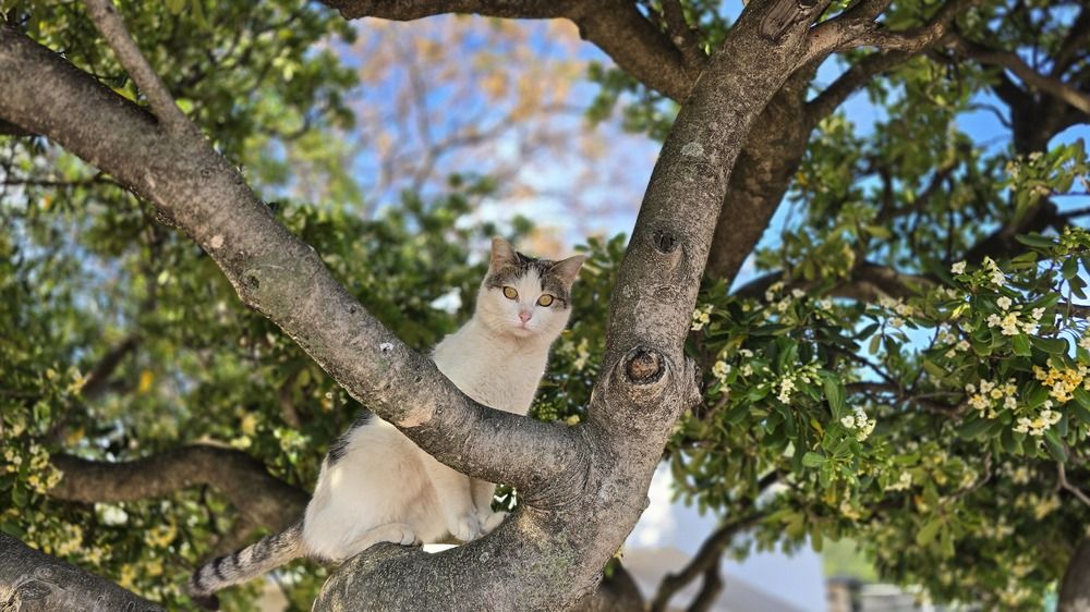 Photograph by Anna Zelinskaya