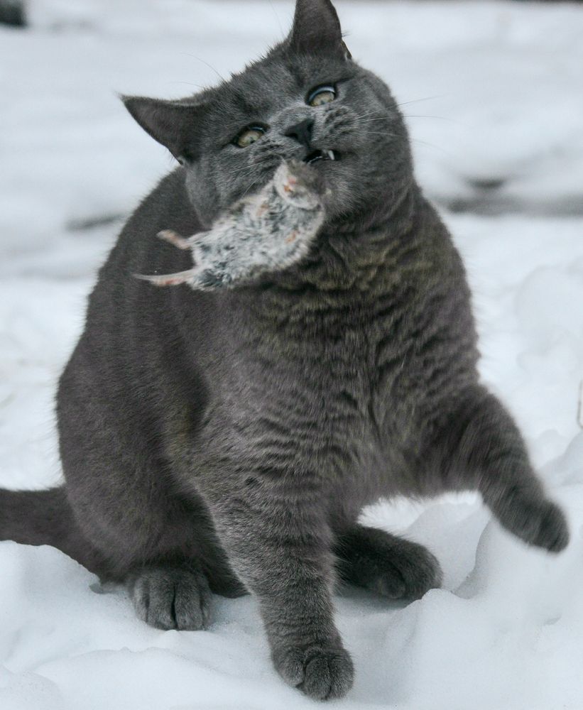 Photograph by Александр Парамонов