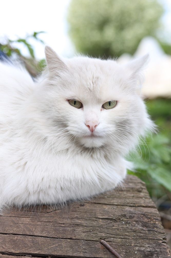 Photograph by Наталия Манакова