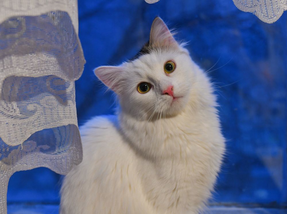 Photograph by Александр Парамонов