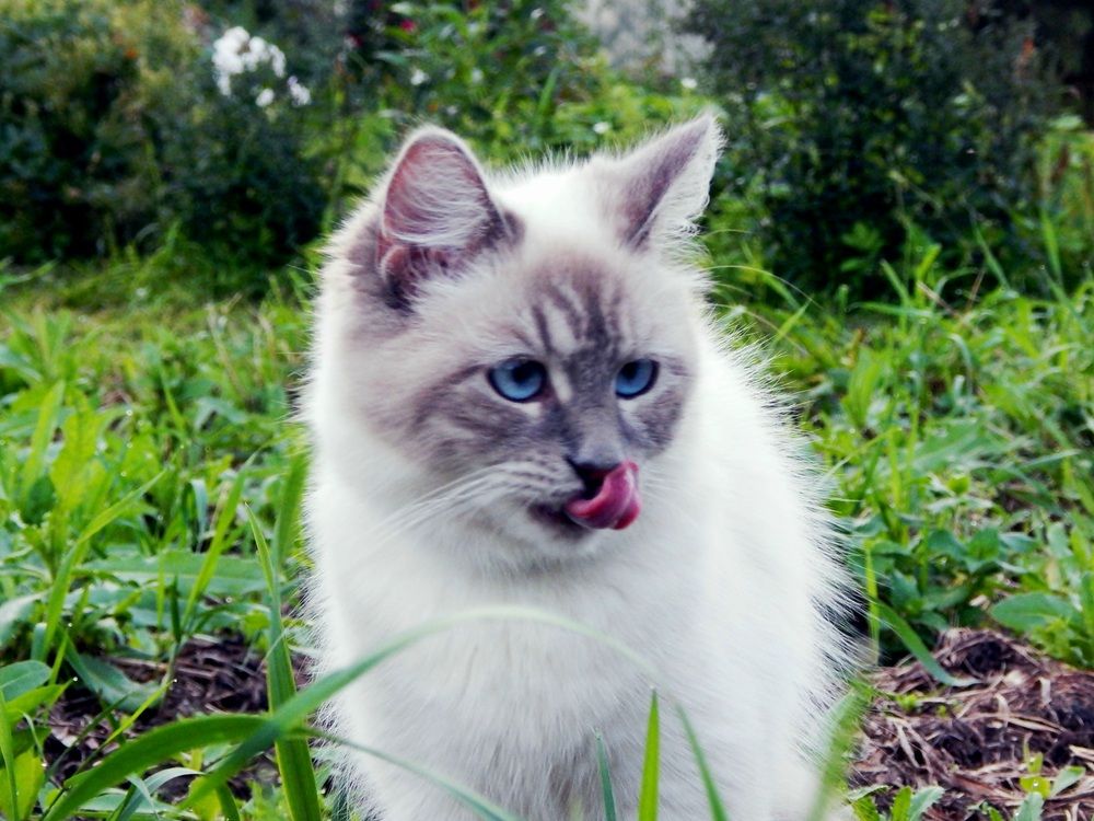 Photograph by Юрий Пучков