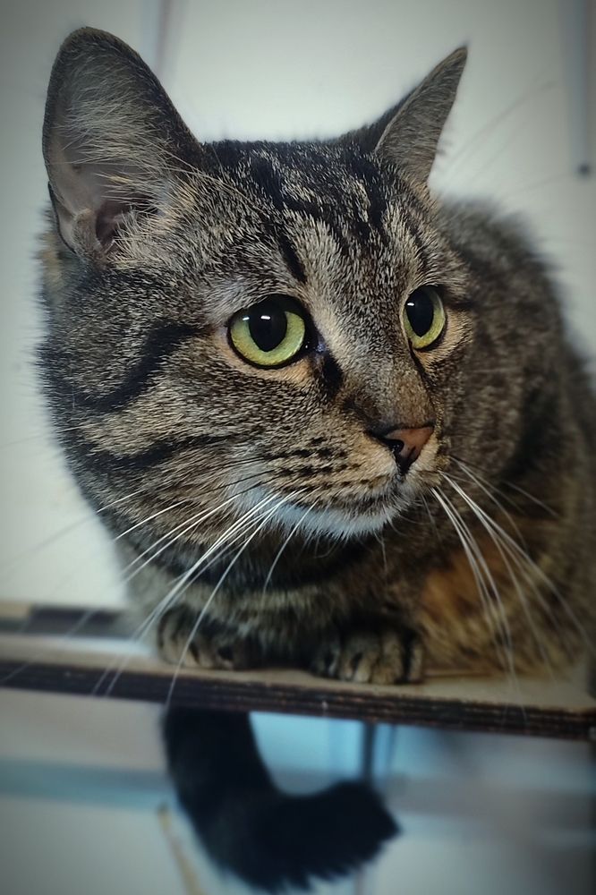 Фотография автора Валерий Жданов