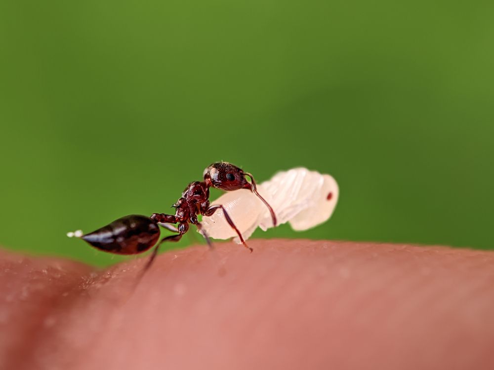 Фотография автора Md Mofizul Islam Mofizul