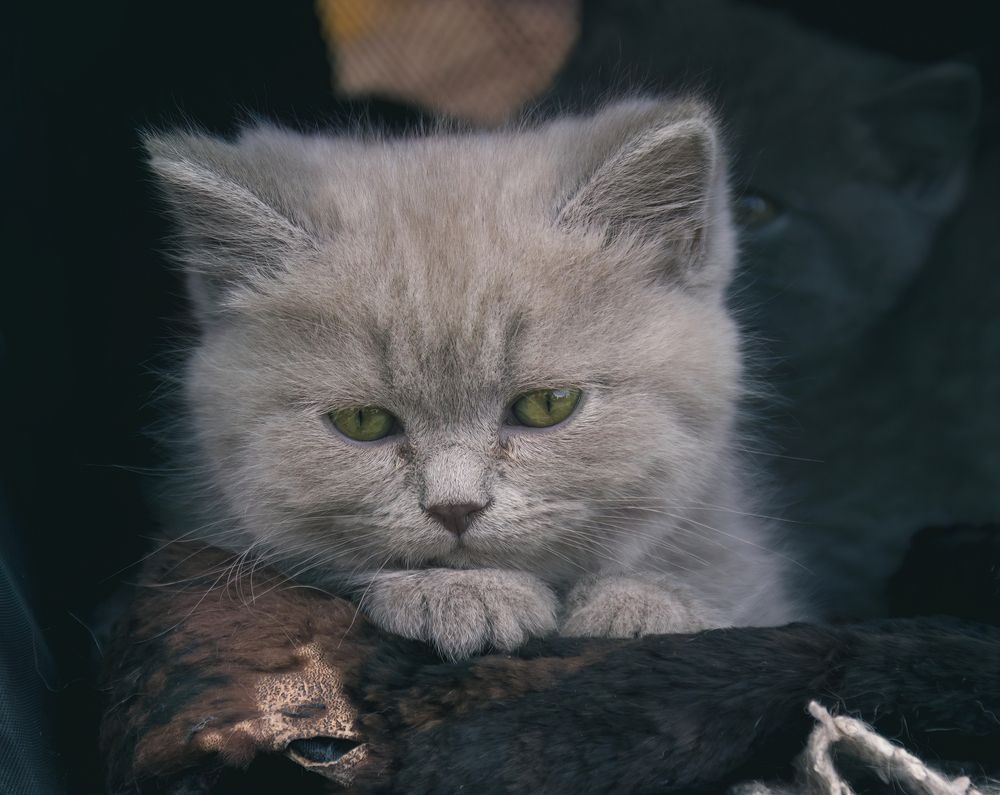 Photograph by Александр Парамонов